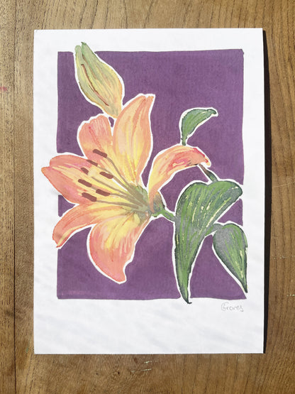 Lily      'Woodland Collection'