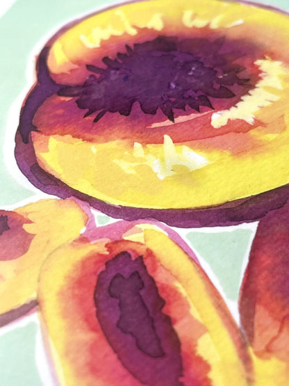 Nectarine   'Kitchen Collection'
