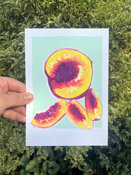 Nectarine   'Kitchen Collection'