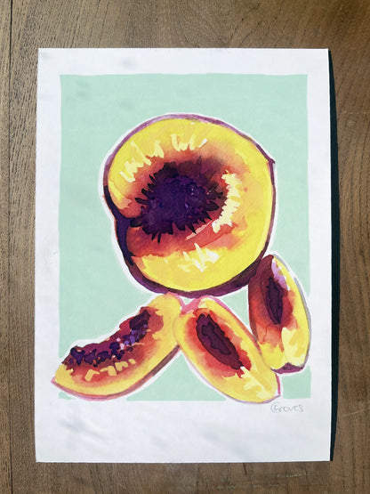 Nectarine   'Kitchen Collection'