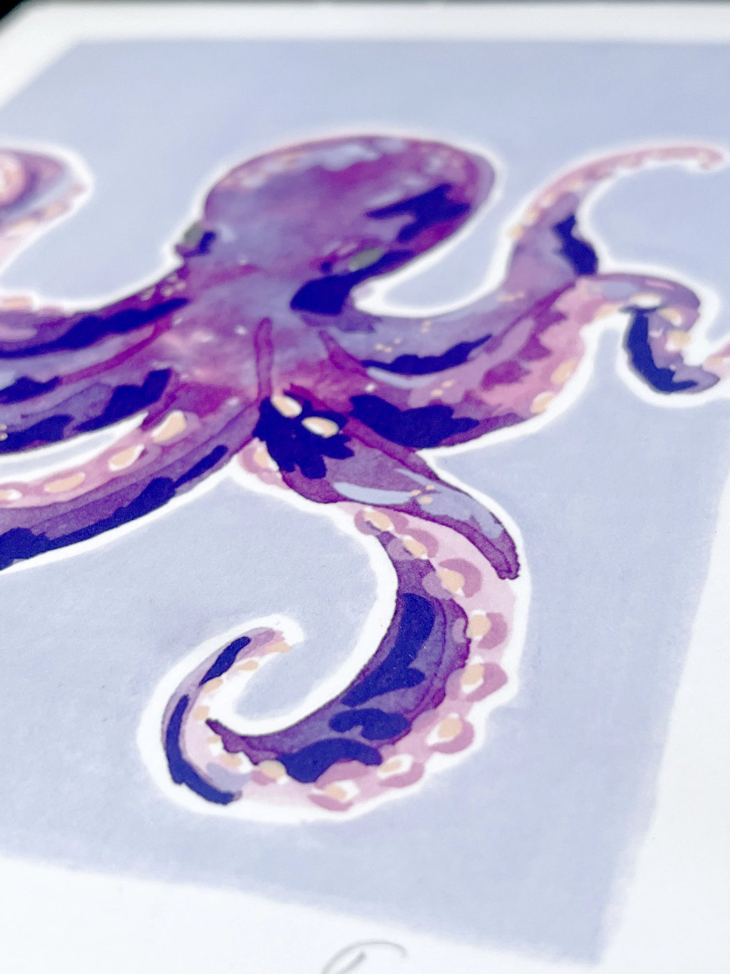 Octopus   'Coastal Collection'