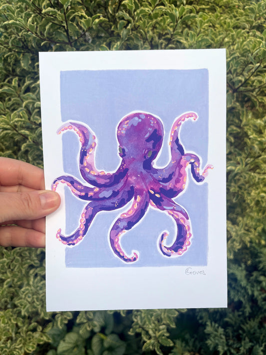 Octopus   'Coastal Collection'