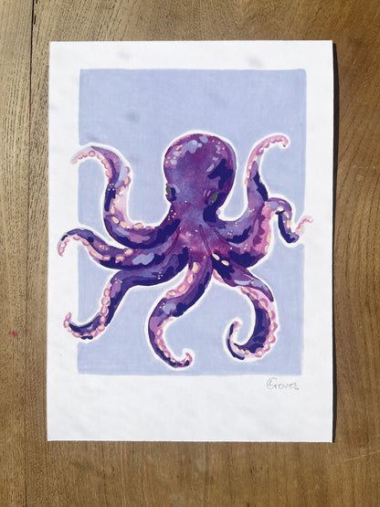 Octopus   'Coastal Collection'