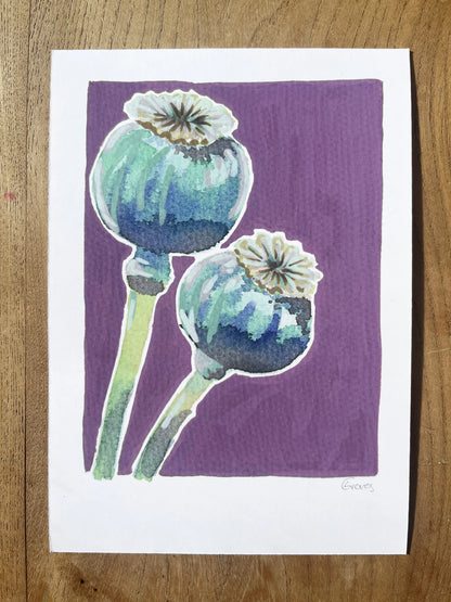 Poppy heads   'Woodland Collection'