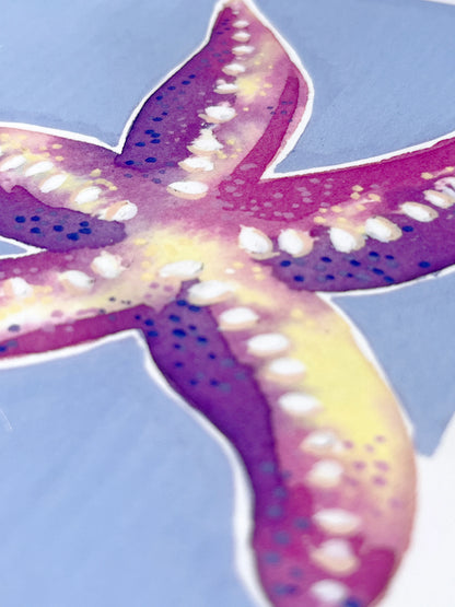 Starfish   'Coastal Collection'
