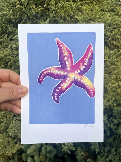 Starfish   'Coastal Collection'