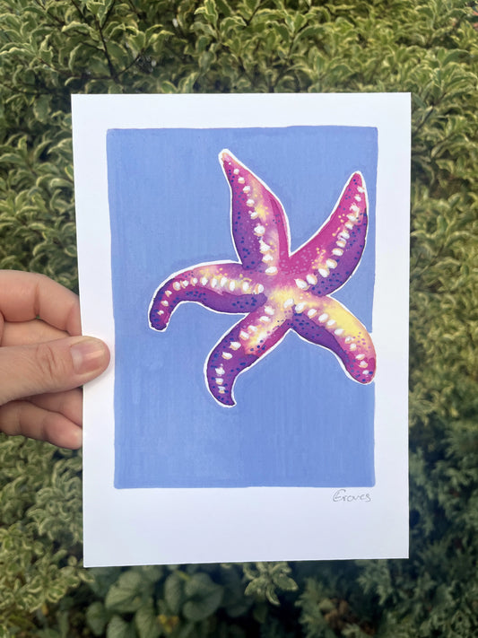 Starfish   'Coastal Collection'