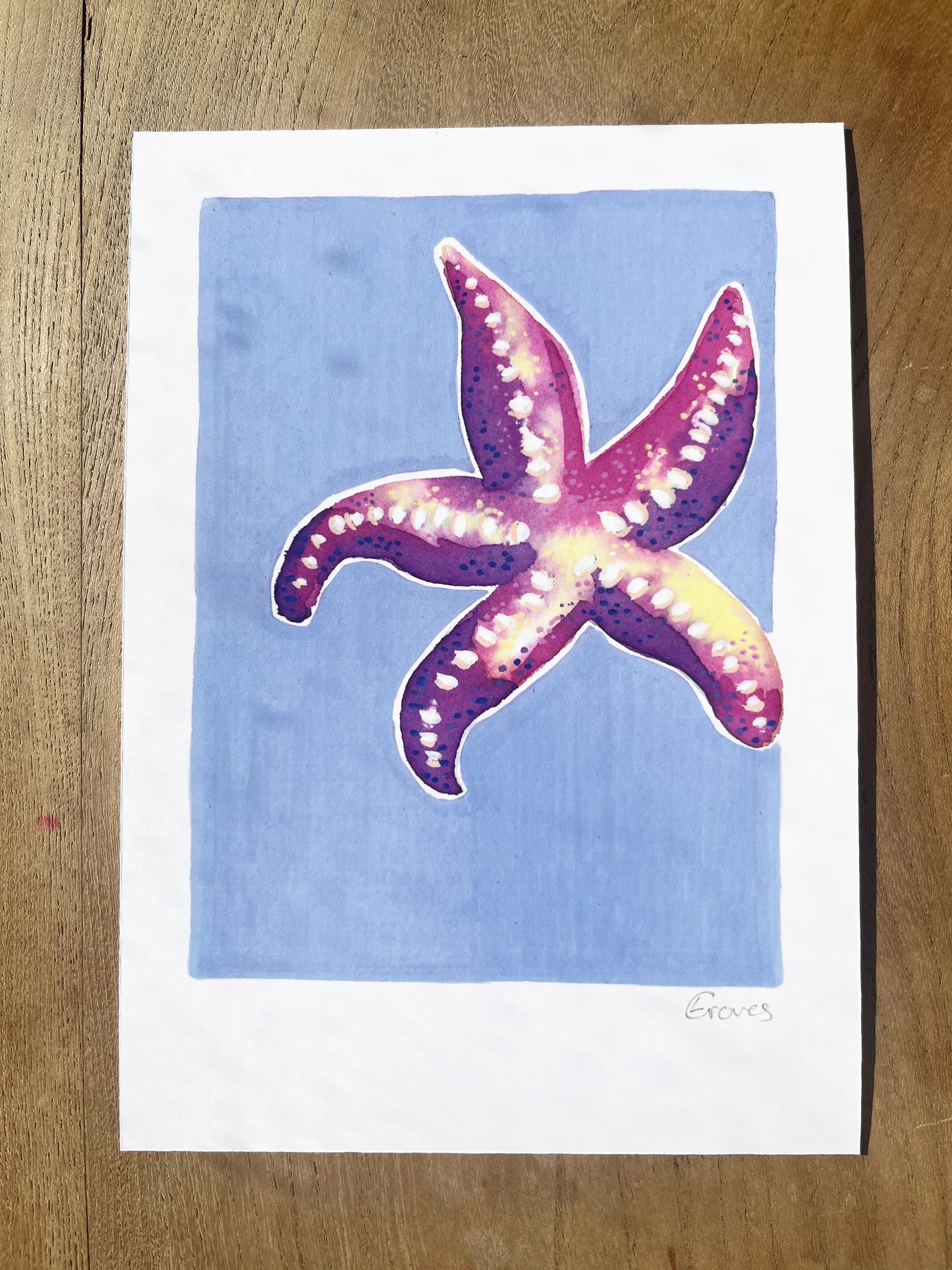 Starfish   'Coastal Collection'