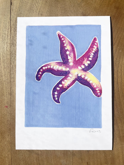 Starfish   'Coastal Collection'