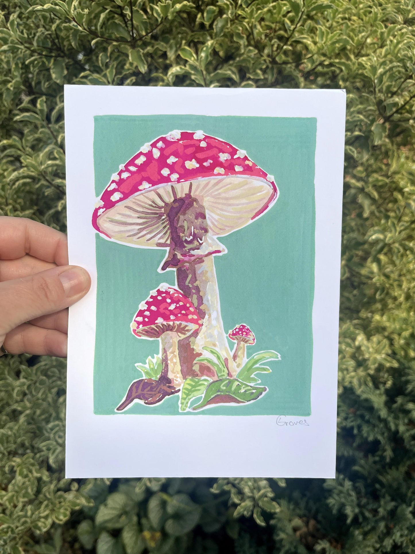 Toadstool   'Woodland Collection'