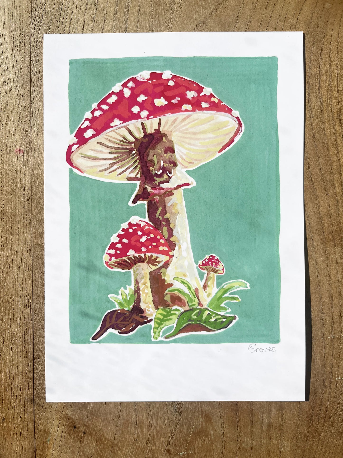 Toadstool   'Woodland Collection'