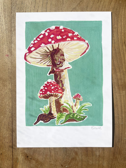 Toadstool   'Woodland Collection'