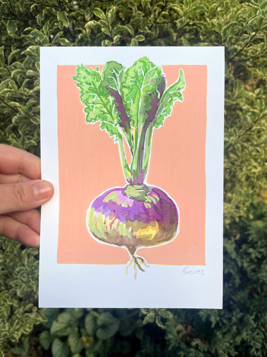 Turnip   'Kitchen Collection'